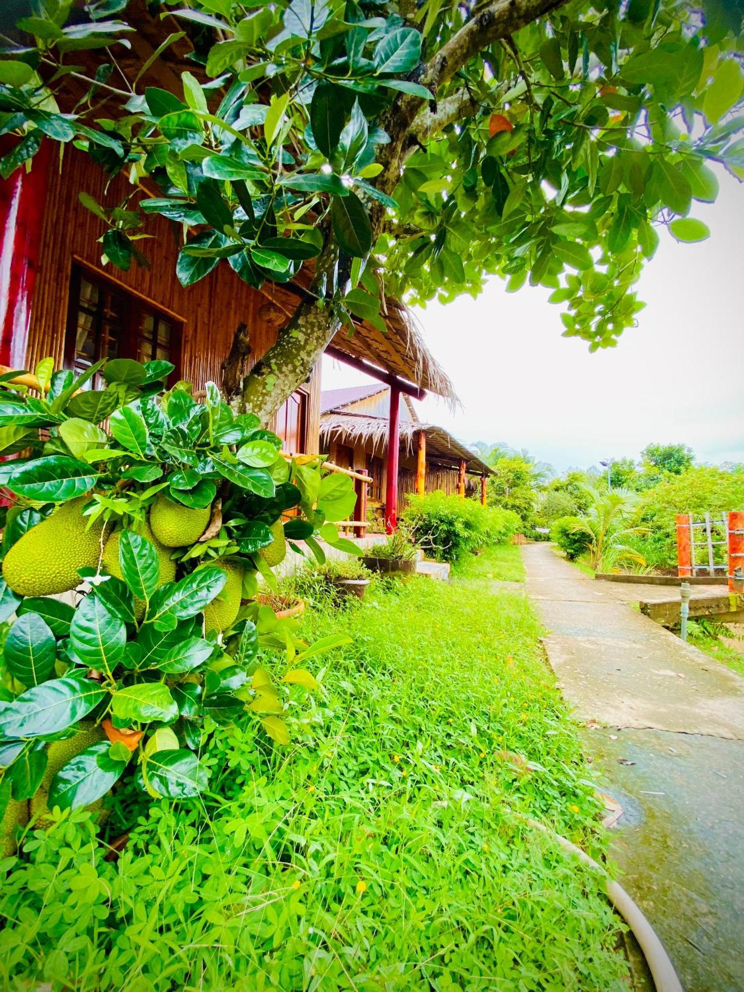 Mekong Riverside Homestay Vĩnh Long Dış mekan fotoğraf